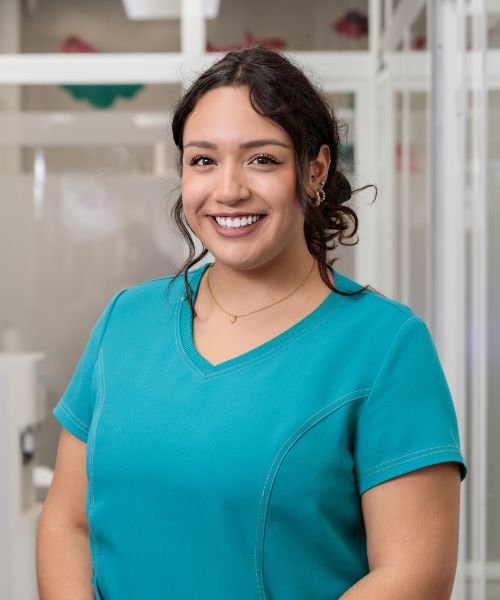 Higienista Noelia 2025