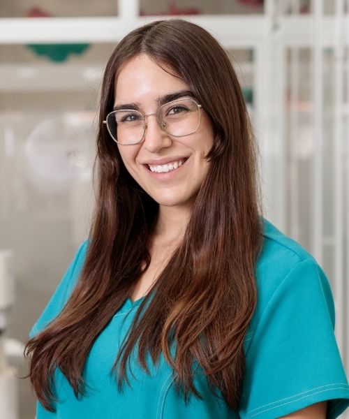 Higienista Irene 2025