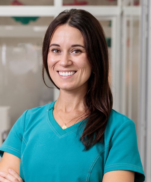 Higienista Ana Belén 2025